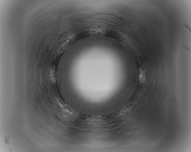 X0000101710819200807101602