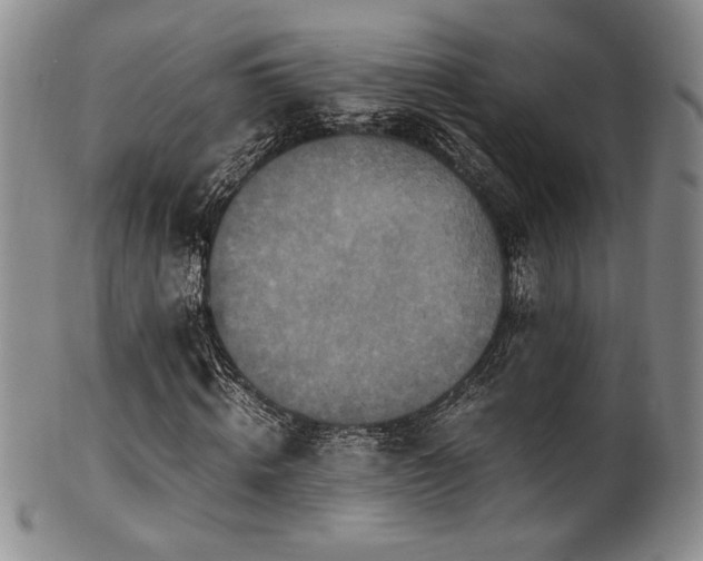 X0000101710820200807101602
