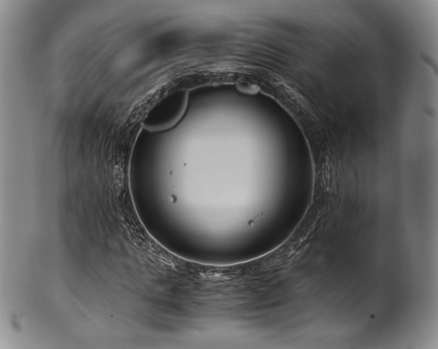 X0000101710821200807101602
