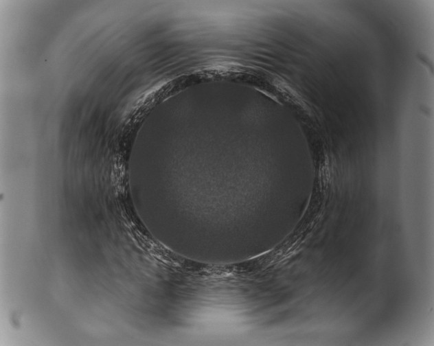 X0000101710822200807101602