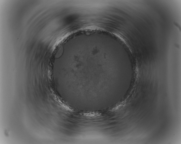 X0000101710823200807101602
