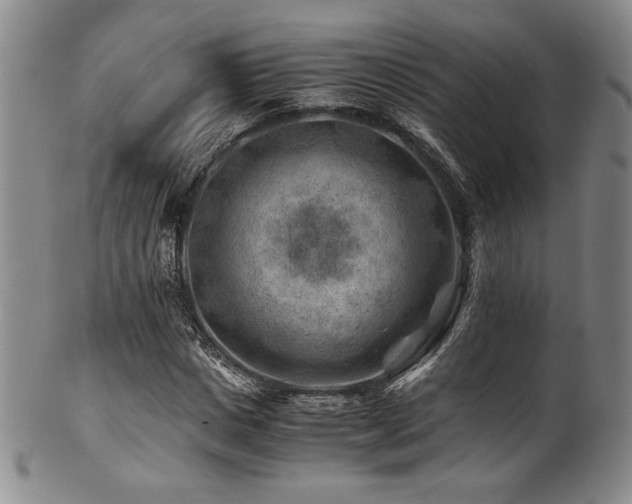 X0000101710825200807101602