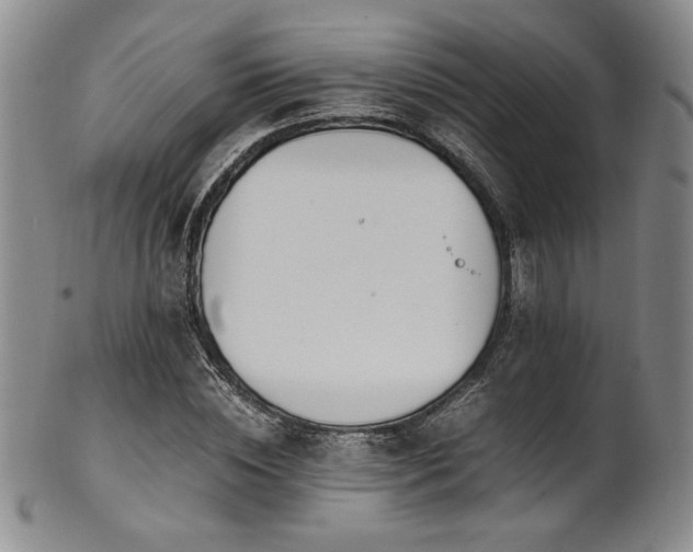 X0000101710828200807101603