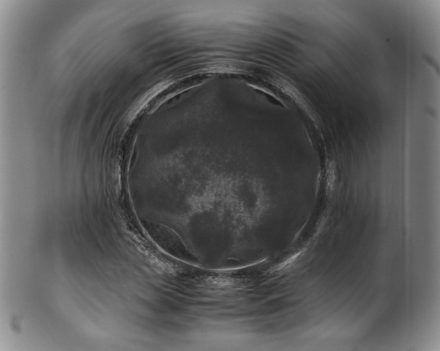 X0000101710829200807101603