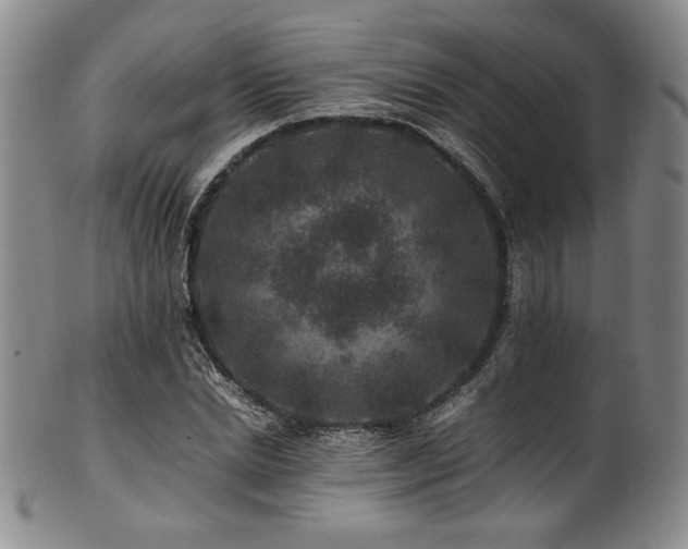 X0000101710830200807101603