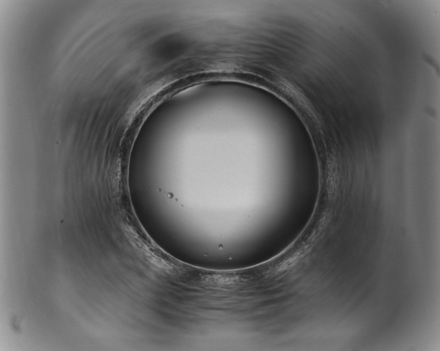 X0000101710831200807101603