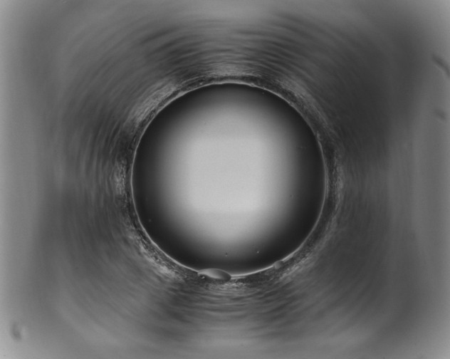 X0000101710833200807101603