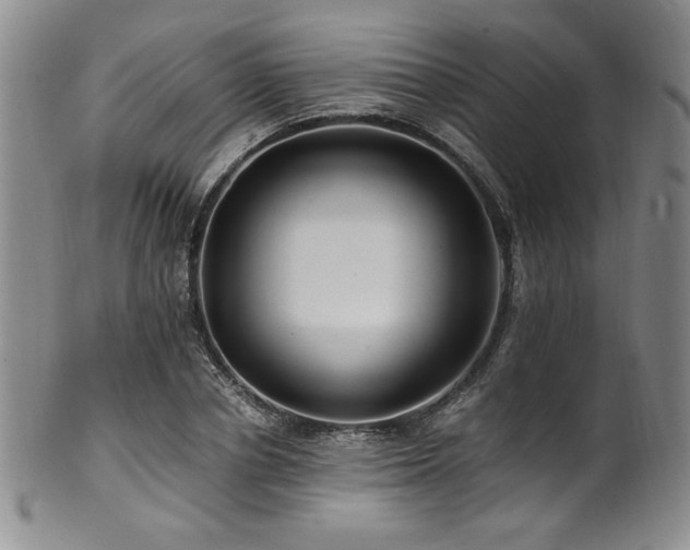 X0000101710834200807101603