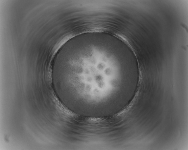 X0000101710835200807101603