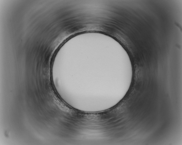 X0000101710836200807101603