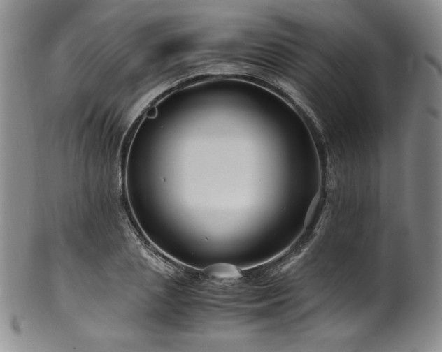 X0000101710837200807101603