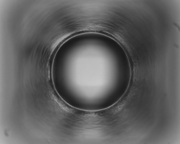 X0000101710838200807101603