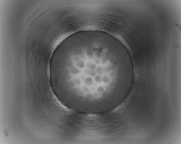 X0000101710839200807101603