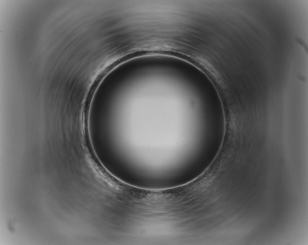 X0000101710840200807101603