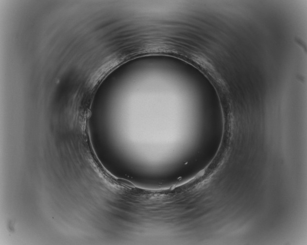 X0000101710841200807101603