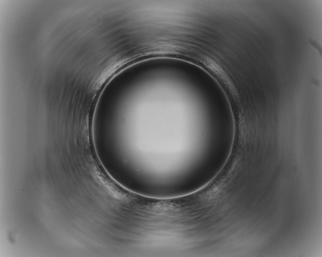 X0000101710842200807101603