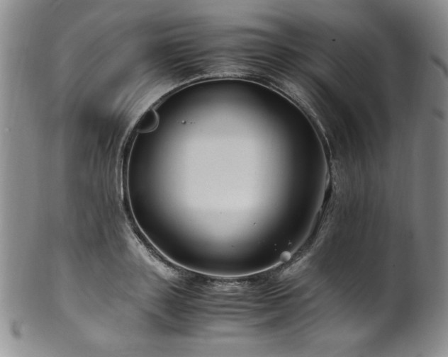 X0000101710843200807101603