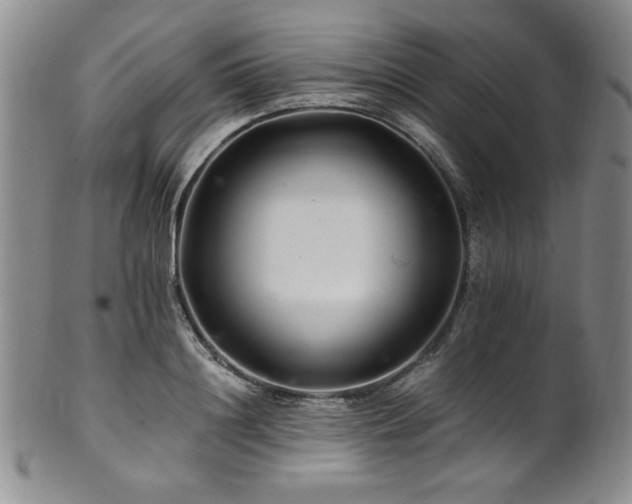 X0000101710844200807101603