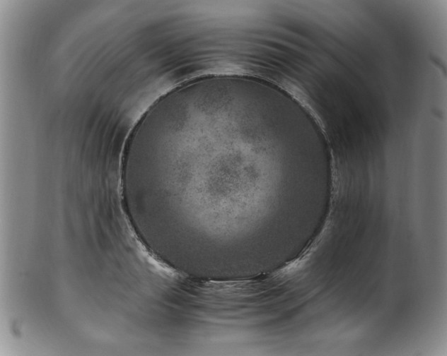 X0000101710845200807101603