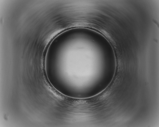 X0000101710846200807101603