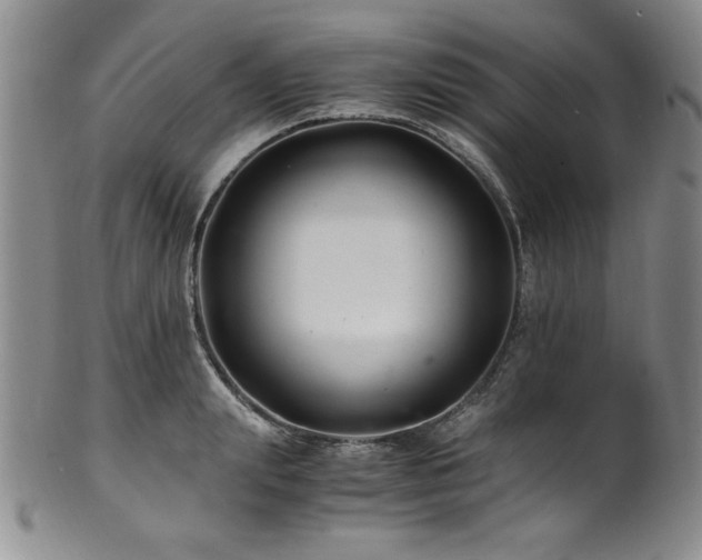 X0000101710847200807101603