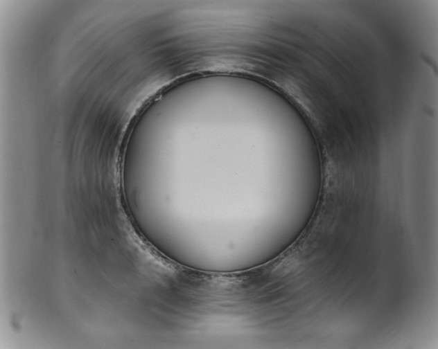 X0000101710848200807101603