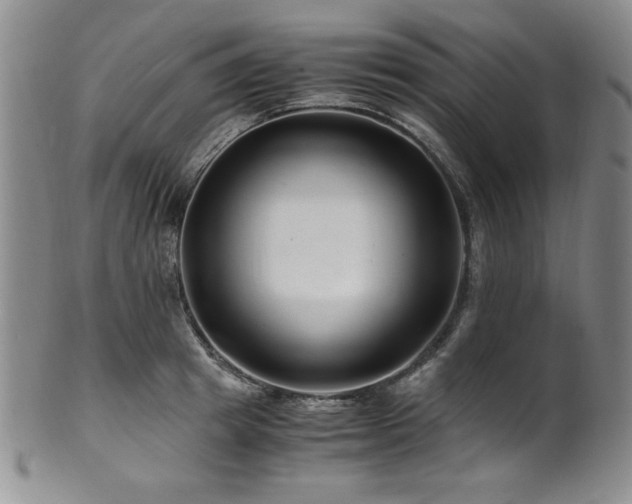 X0000101710849200807101603