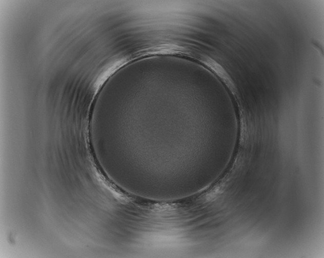 X0000101710850200807101603