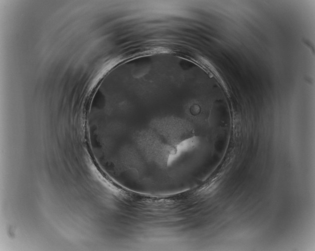 X0000101710851200807101603