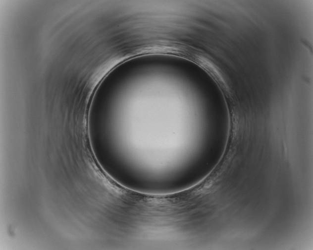 X0000101710852200807101603