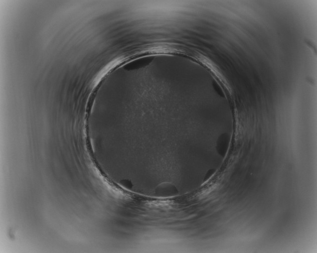 X0000101710853200807101603