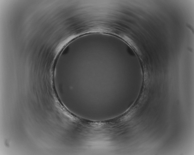 X0000101710854200807101603