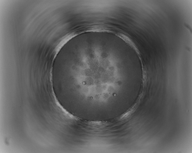 X0000101710855200807101603