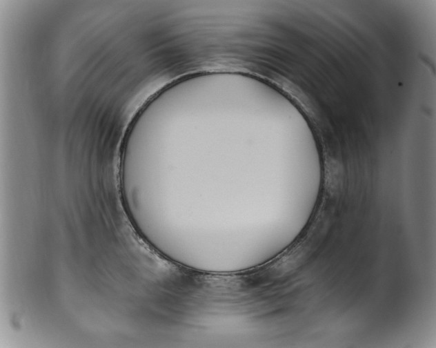 X0000101710856200807101603