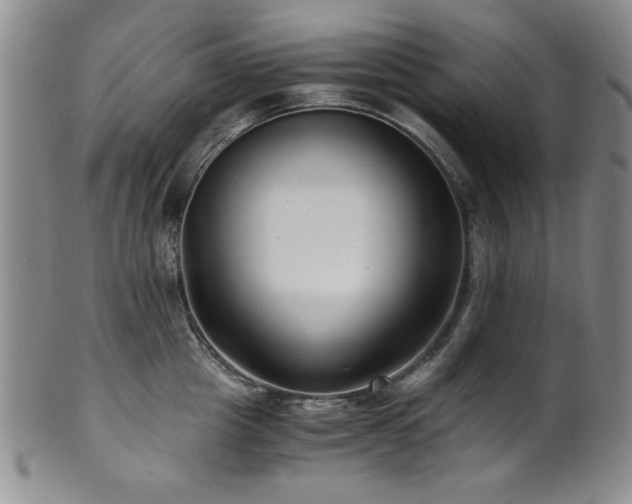 X0000101710857200807101603