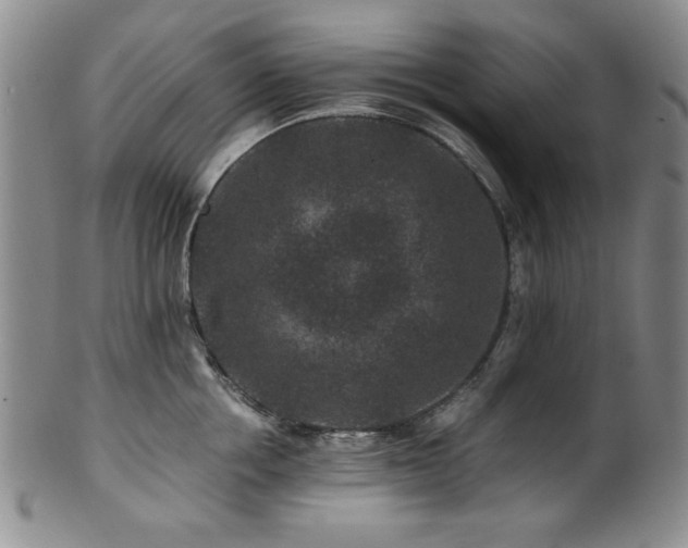 X0000101710858200807101603