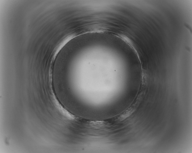X0000101710859200807101603