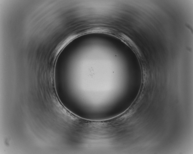 X0000101710860200807101603