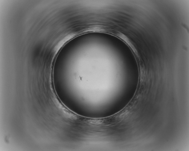 X0000101710861200807101603