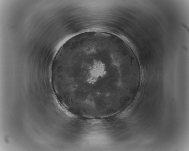 X0000101710862200807101603