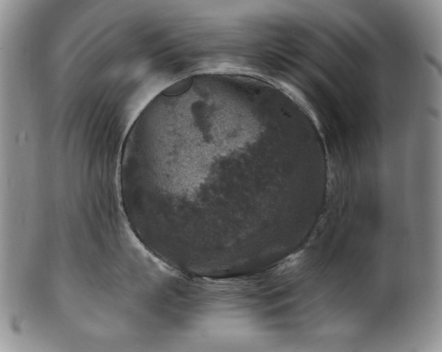 X0000101710863200807101603