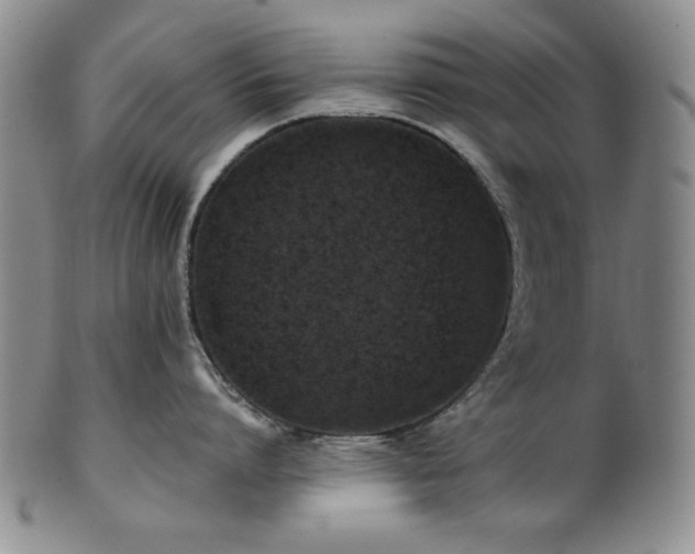 X0000101710864200807101603