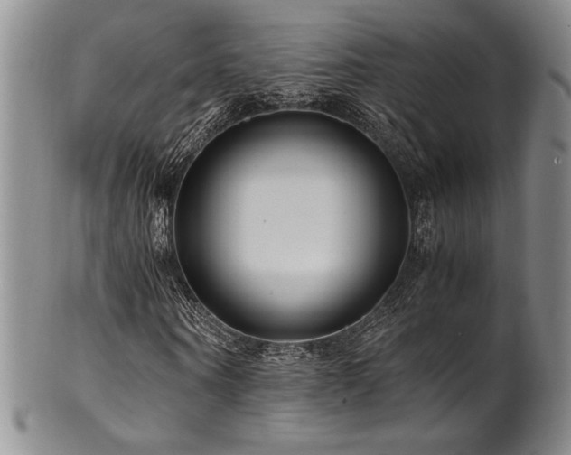 X0000101710866200807101602