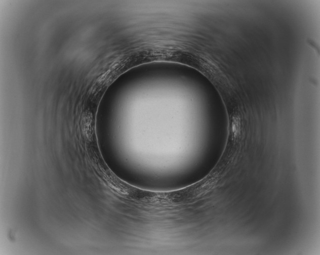 X0000101710867200807101602