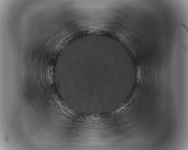 X0000101710868200807101602