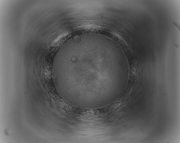 X0000101710869200807101602