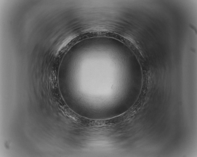 X0000101710871200807101602
