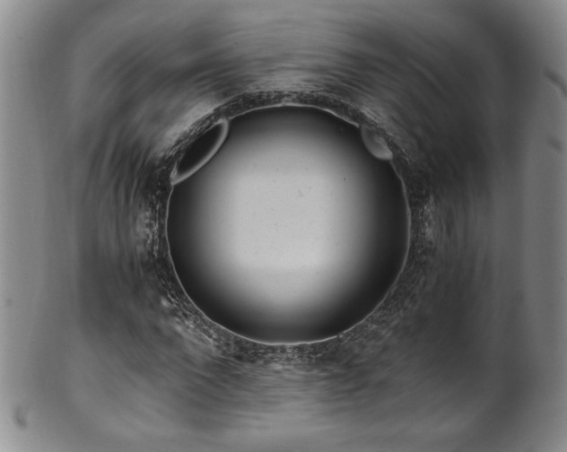X0000101710872200807101602