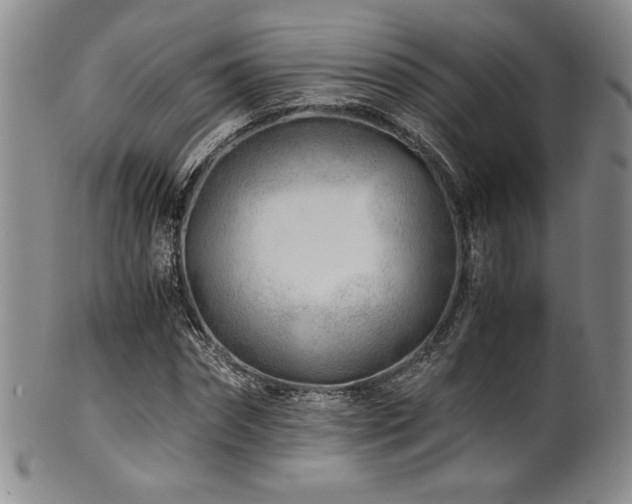 X0000101710874200807101602