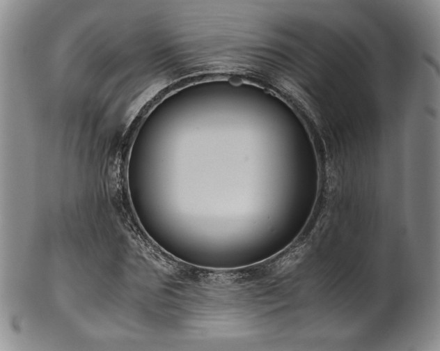 X0000101710875200807101602